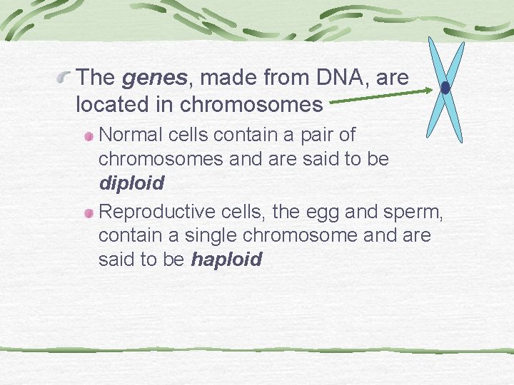 The genes, made from DNA, are located in chromosomes Normal cells contain a pair The genes, made from DNA, are located in chromosomes Normal cells contain a pair