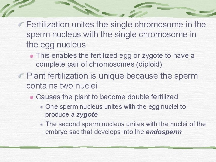 Fertilization unites the single chromosome in the sperm nucleus with the single chromosome in Fertilization unites the single chromosome in the sperm nucleus with the single chromosome in