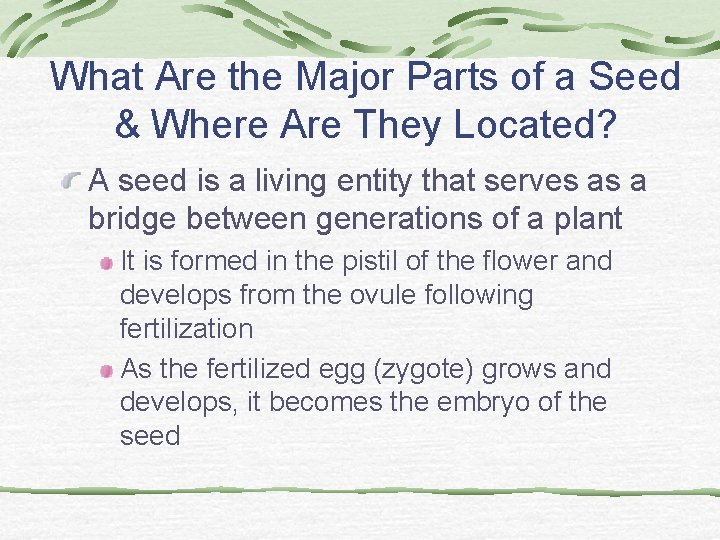 What Are the Major Parts of a Seed & Where Are They Located? A What Are the Major Parts of a Seed & Where Are They Located? A