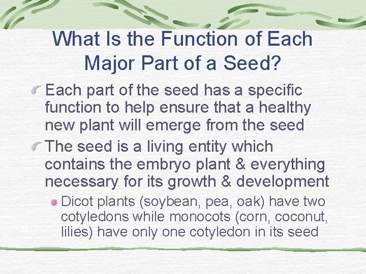 What Is the Function of Each Major Part of a Seed? Each part of What Is the Function of Each Major Part of a Seed? Each part of