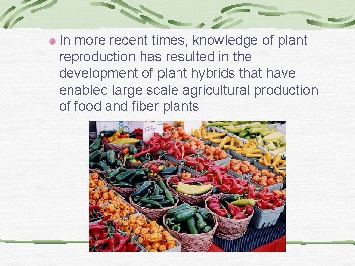 In more recent times, knowledge of plant reproduction has resulted in the development of In more recent times, knowledge of plant reproduction has resulted in the development of