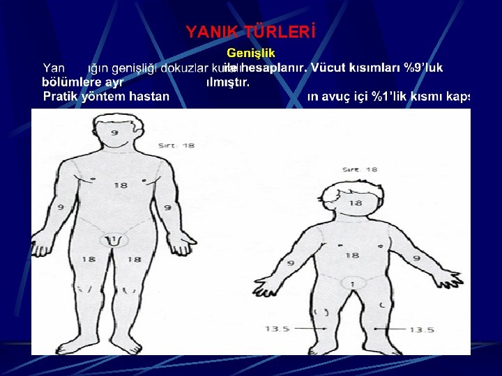 YANIK TÜRLERİ 