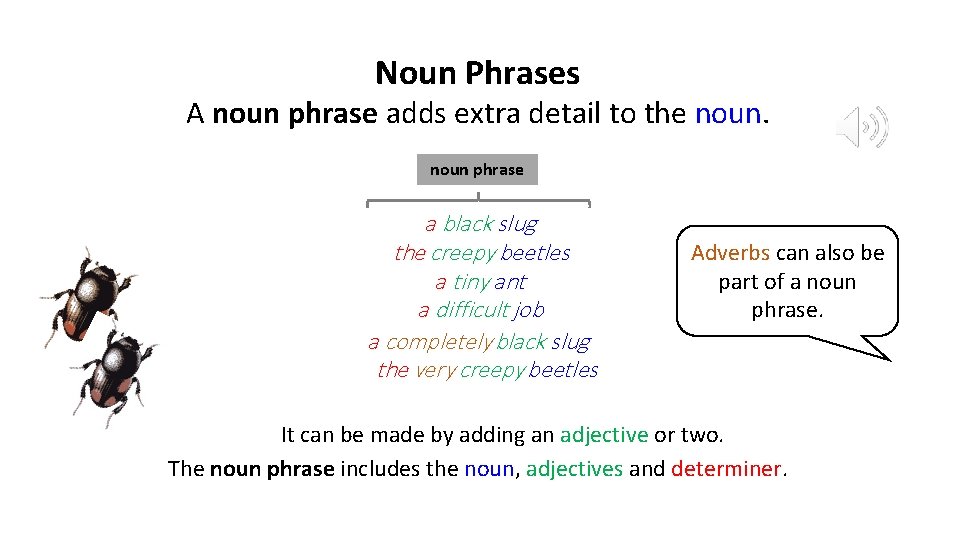 Noun Phrases A noun phrase adds extra detail to the noun phrase a black