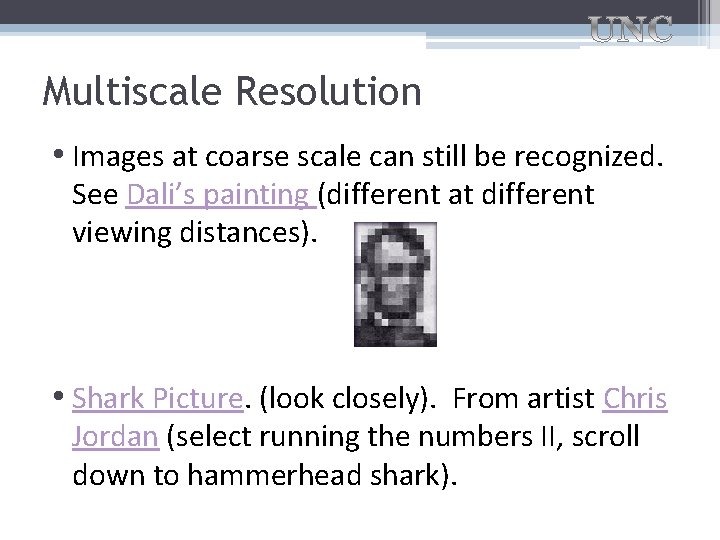 Multiscale Resolution • Images at coarse scale can still be recognized. See Dali’s painting