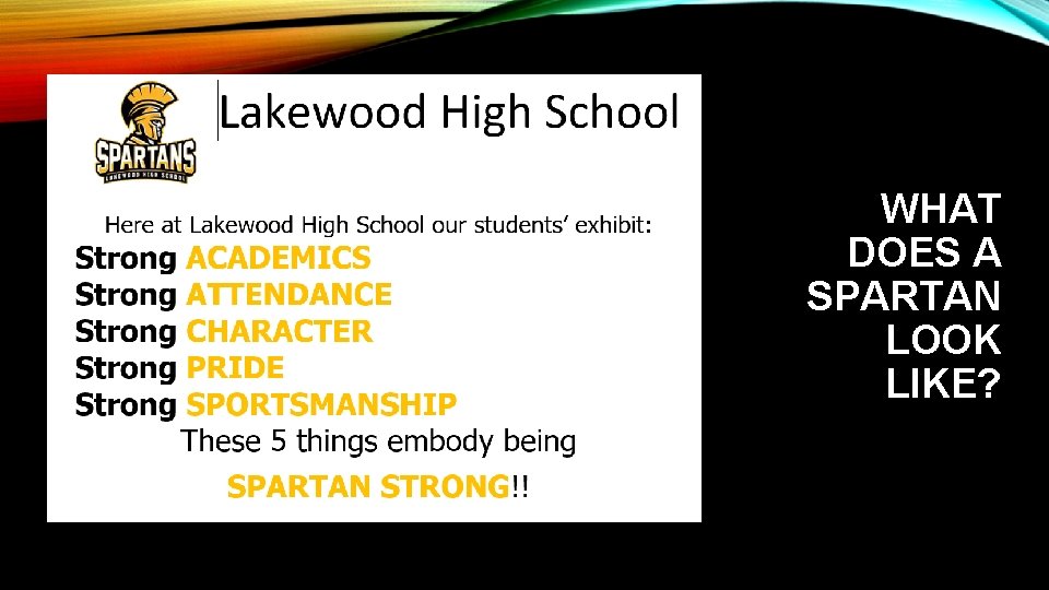 WHAT DOES A SPARTAN LOOK LIKE? 