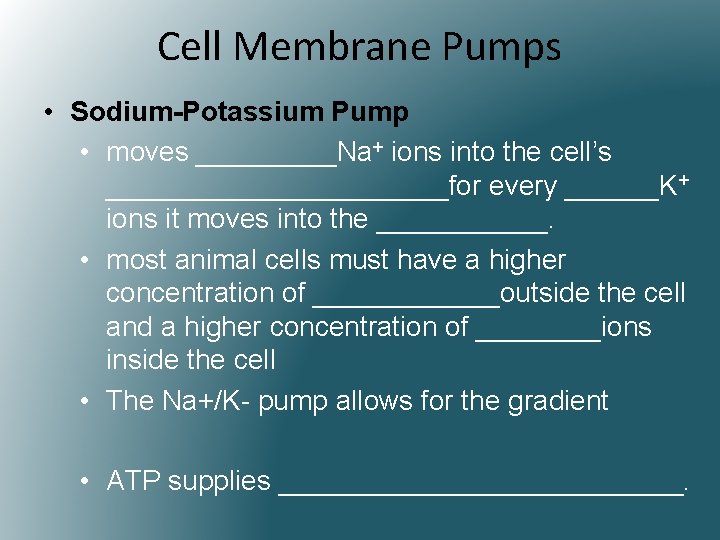 Cell Membrane Pumps • Sodium-Potassium Pump • moves _____Na+ ions into the cell’s ___________for