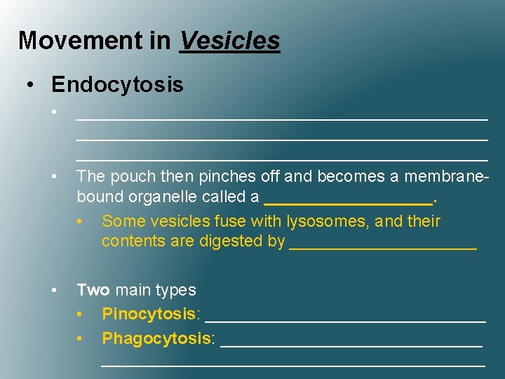 Movement in Vesicles • Endocytosis • • • ____________________________________________ The pouch then pinches off