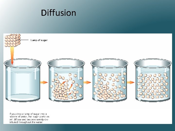 Diffusion 
