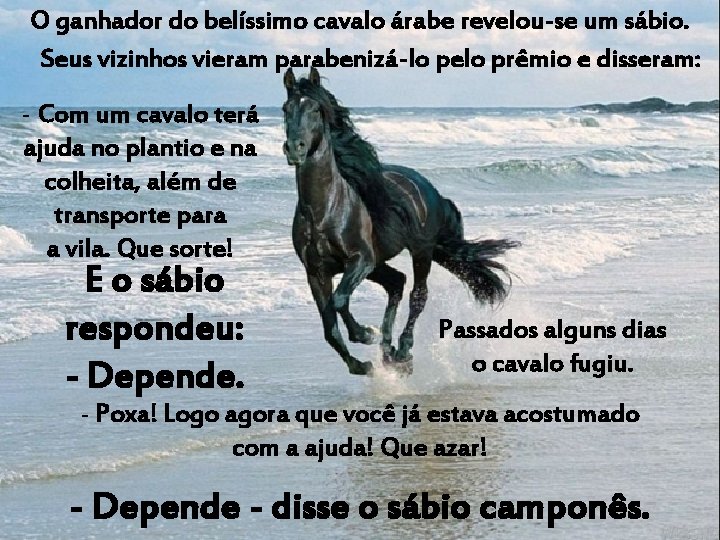 ganhador do belíssimo cavalo árabe revelou-se um sábio. Em. Oum reino muito distante, a