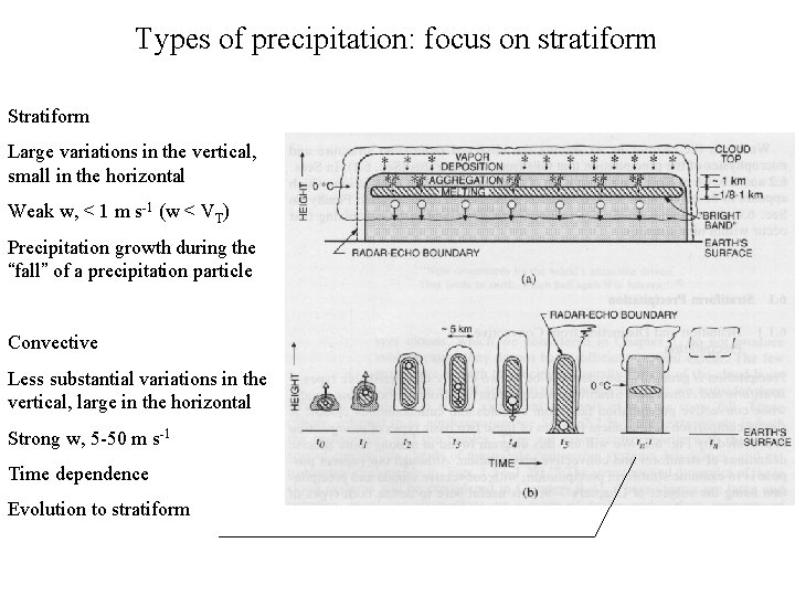 Types of precipitation: focus on stratiform Stratiform Large variations in the vertical, small in