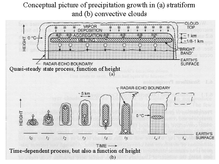 Conceptual picture of precipitation growth in (a) stratiform and (b) convective clouds Quasi-steady state