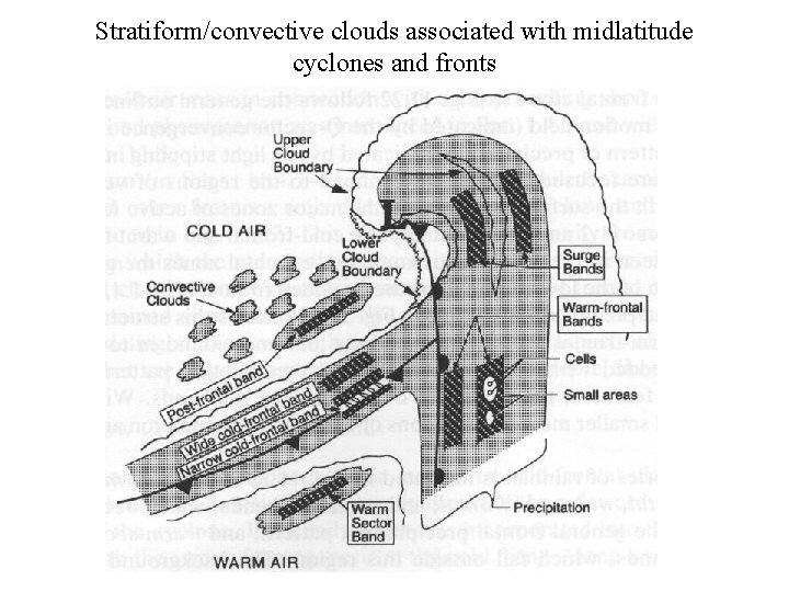 Stratiform/convective clouds associated with midlatitude cyclones and fronts 