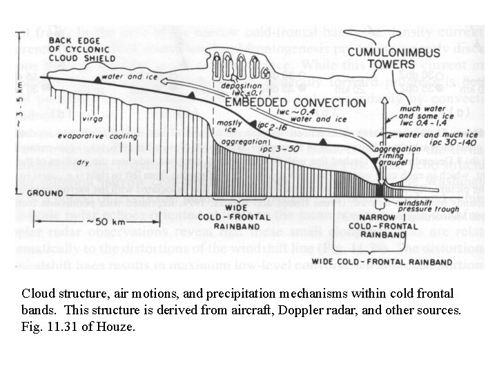 Cloud structure, air motions, and precipitation mechanisms within cold frontal bands. This structure is