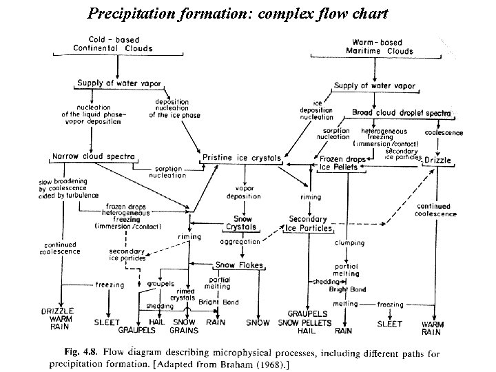Precipitation formation: complex flow chart 