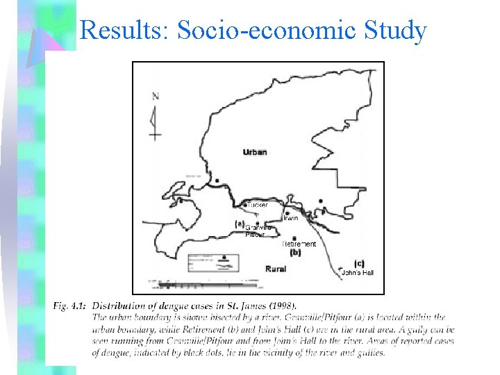 Results: Socio-economic Study 