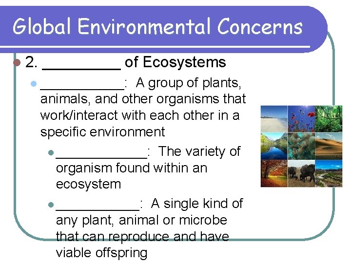 Global Environmental Concerns l 2. l _____ of Ecosystems ______: A group of plants,