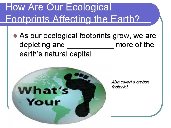 How Are Our Ecological Footprints Affecting the Earth? l As our ecological footprints grow,