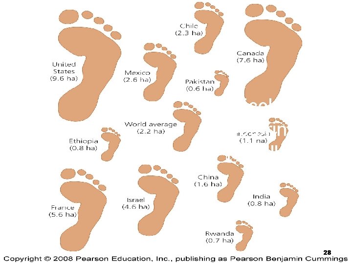 Ecological footprints are not all equal 28 