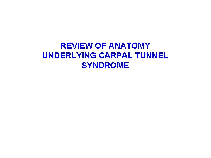 REVIEW OF ANATOMY UNDERLYING CARPAL TUNNEL SYNDROME 