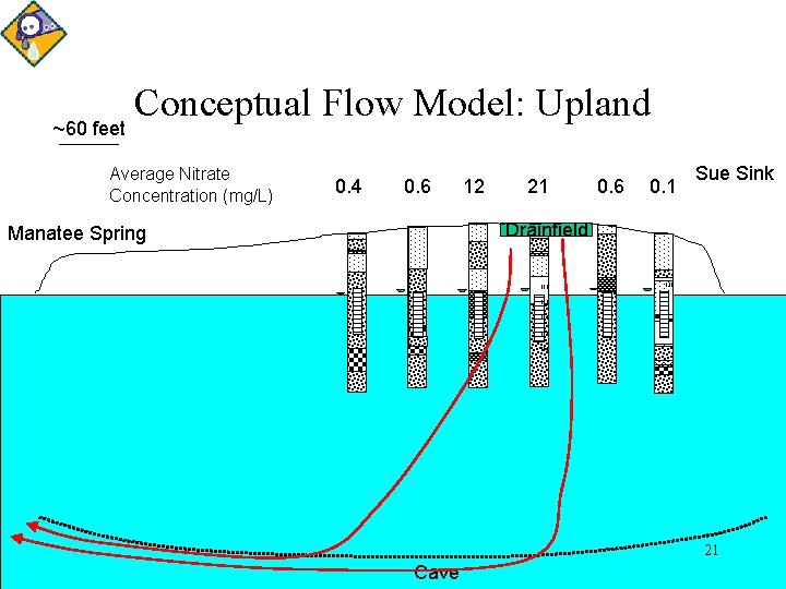 ~60 feet Conceptual Flow Model: Upland Average Nitrate Concentration (mg/L) 0. 4 0. 6