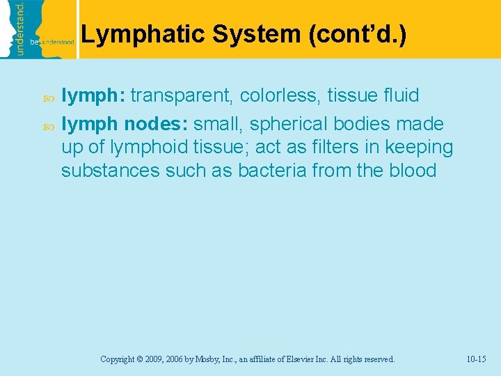 Lymphatic System (cont’d. ) lymph: transparent, colorless, tissue fluid lymph nodes: small, spherical bodies