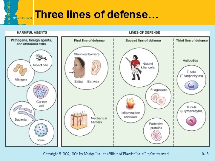 Three lines of defense… Copyright © 2009, 2006 by Mosby, Inc. , an affiliate