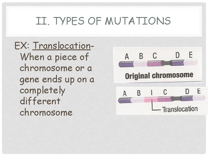 MUTATION AND GENETIC CHANGE WERE NOT WHAT YOU