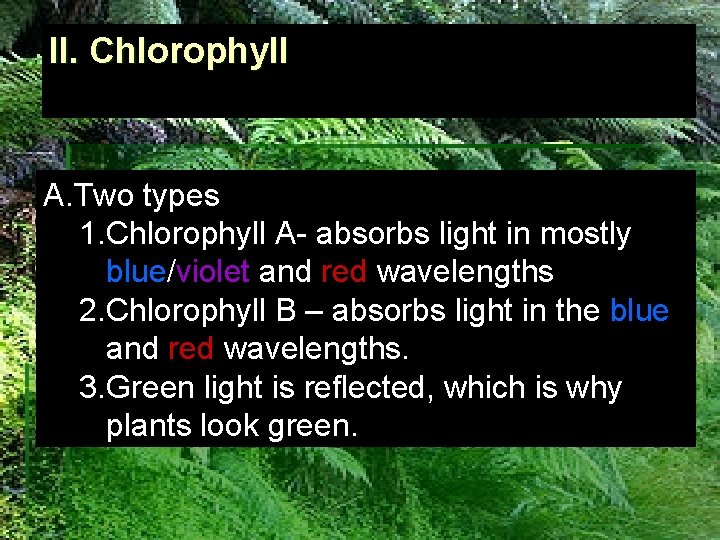 II. Chlorophyll A. Two types 1. Chlorophyll A- absorbs light in mostly blue/violet and