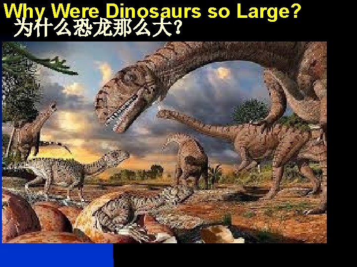 Why Were Dinosaurs so Large? 为什么恐龙那么大？ 