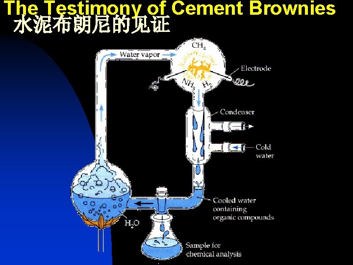The Testimony of Cement Brownies 水泥布朗尼的见证 