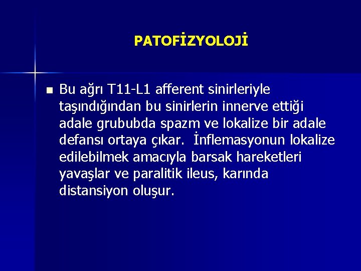 PATOFİZYOLOJİ n Bu ağrı T 11 -L 1 afferent sinirleriyle taşındığından bu sinirlerin innerve