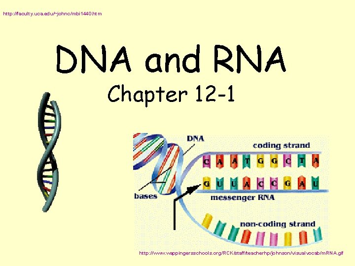 http: //faculty. uca. edu/~johnc/mbi 1440. htm DNA and RNA Chapter 12 -1 http: //www.