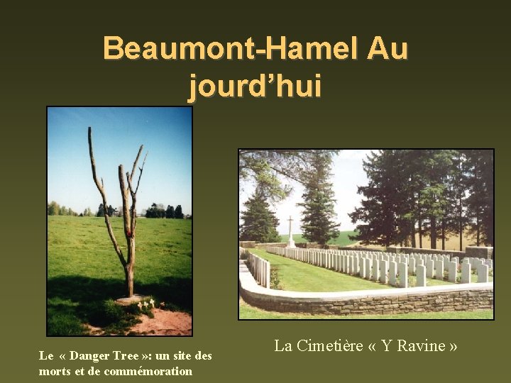 Beaumont-Hamel Au jourd’hui Le « Danger Tree » : un site des morts et