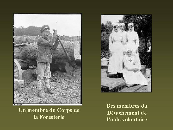 Un membre du Corps de la Foresterie Des membres du Détachement de l’aide volontaire