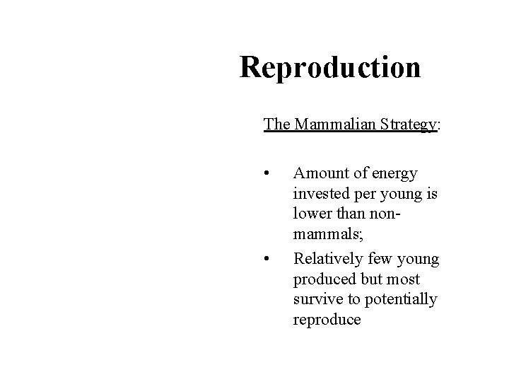 Reproduction The Mammalian Strategy: • • Amount of energy invested per young is lower