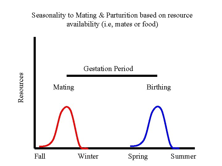 Seasonality to Mating & Parturition based on resource availability (i. e, mates or food)