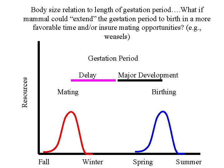 Body size relation to length of gestation period…. What if mammal could “extend” the