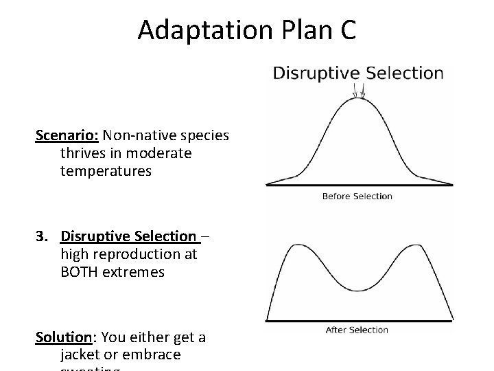 Adaptation Plan C Scenario: Non-native species thrives in moderate temperatures 3. Disruptive Selection –