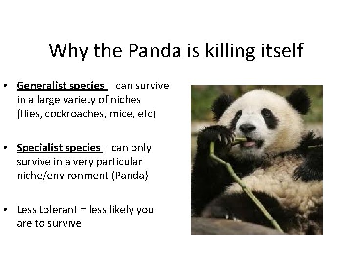 Why the Panda is killing itself • Generalist species – can survive in a