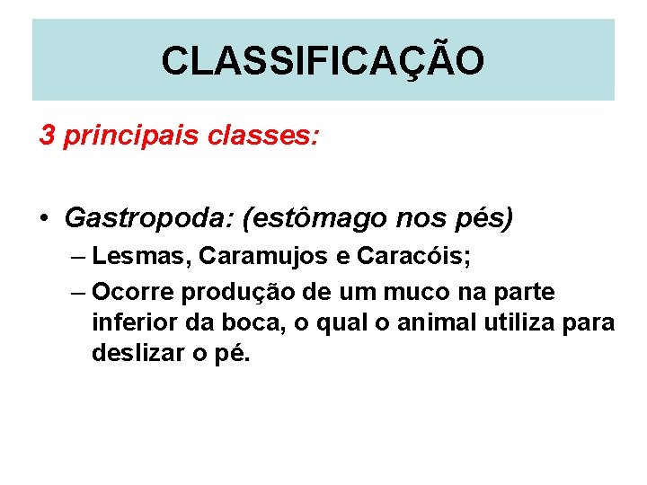 CLASSIFICAÇÃO 3 principais classes: • Gastropoda: (estômago nos pés) – Lesmas, Caramujos e Caracóis;