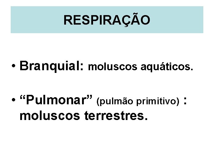 RESPIRAÇÃO • Branquial: moluscos aquáticos. • “Pulmonar” (pulmão primitivo) : moluscos terrestres. 