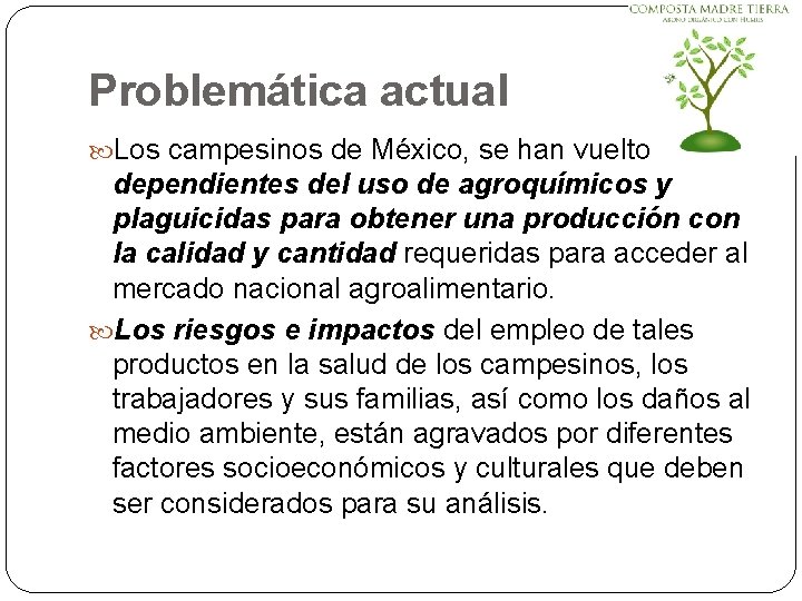 Problemática actual Los campesinos de México, se han vuelto dependientes del uso de agroquímicos