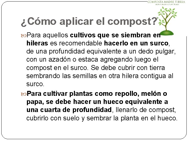 ¿Cómo aplicar el compost? Para aquellos cultivos que se siembran en hileras es recomendable