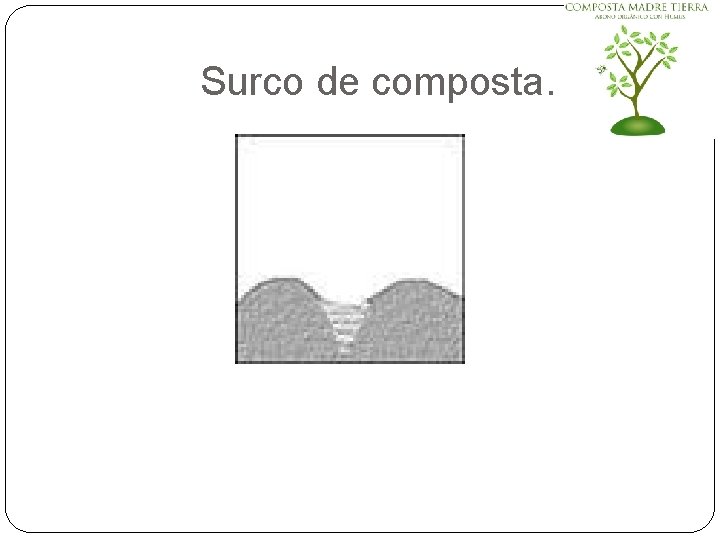 Surco de composta. 