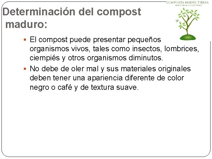 Determinación del compost maduro: § El compost puede presentar pequeños organismos vivos, tales como