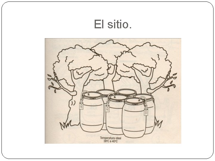 El sitio. 