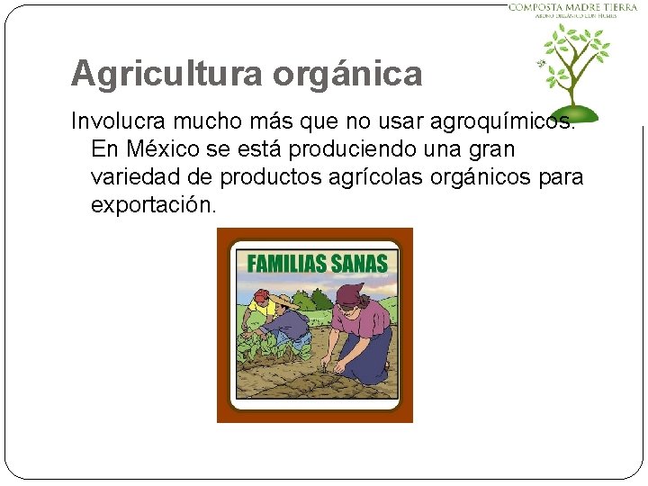Agricultura orgánica Involucra mucho más que no usar agroquímicos. En México se está produciendo