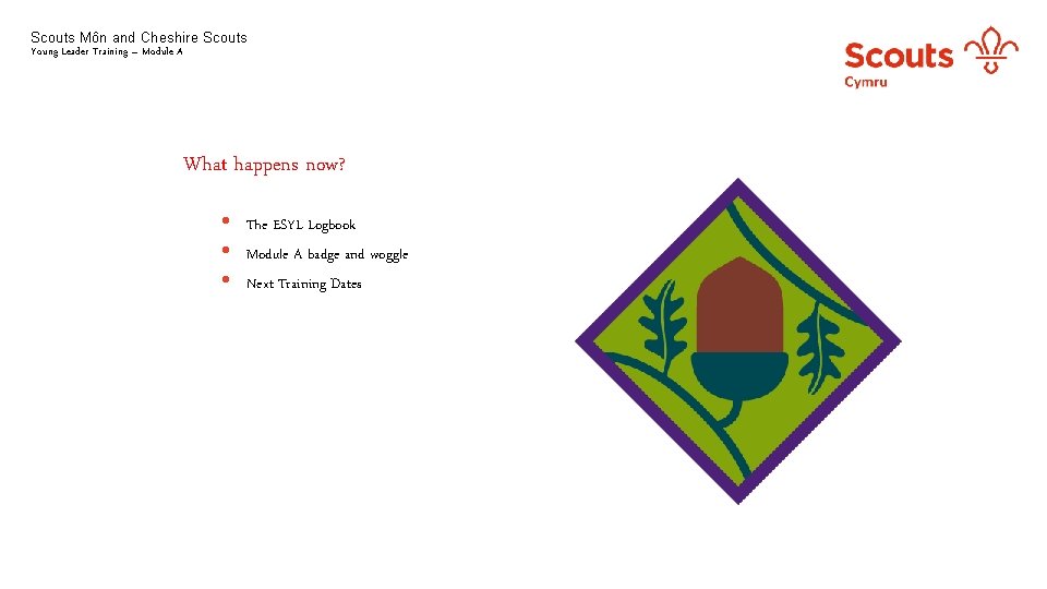 Scouts Môn and Cheshire Scouts Young Leader Training – Module A What happens now?