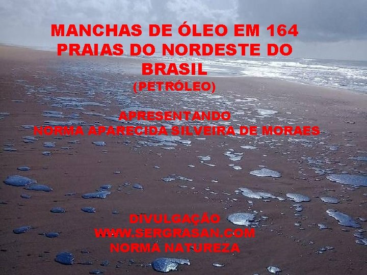 MANCHAS DE ÓLEO EM 164 PRAIAS DO NORDESTE DO BRASIL (PETRÓLEO) APRESENTANDO NORMA APARECIDA