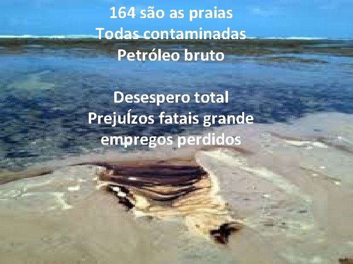164 são as praias Todas contaminadas Petróleo bruto Desespero total PrejuÍzos fatais grande empregos